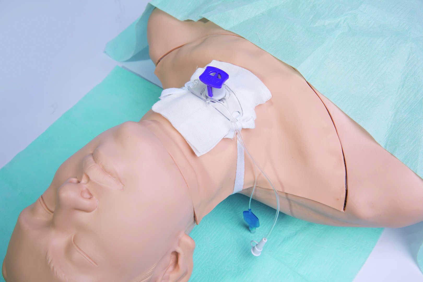 Tracheostomy Model